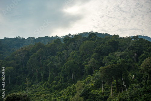 Unaffected jungle on Tioman, Malaysia