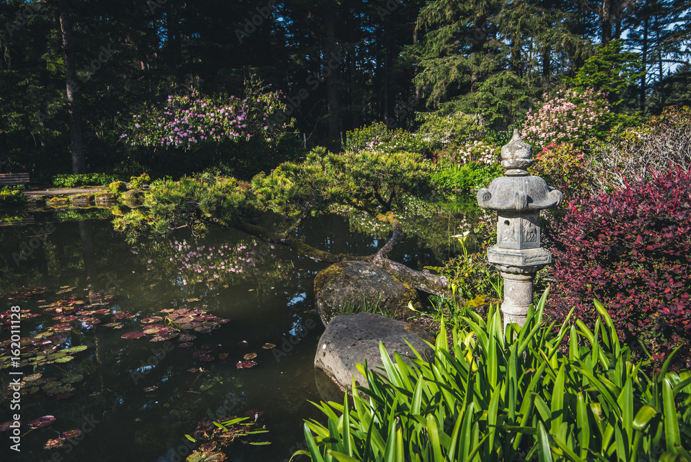Naklejka premium Lush flower garden.