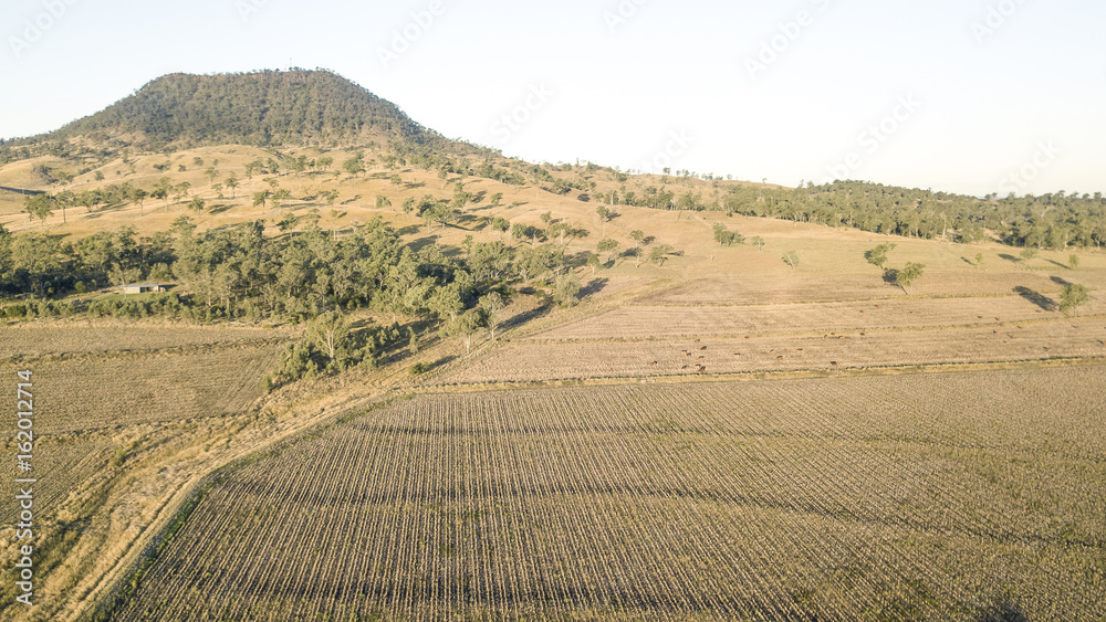 Fototapeta premium Agricultural and farming field in the countryside of Queensland in the afternoon.