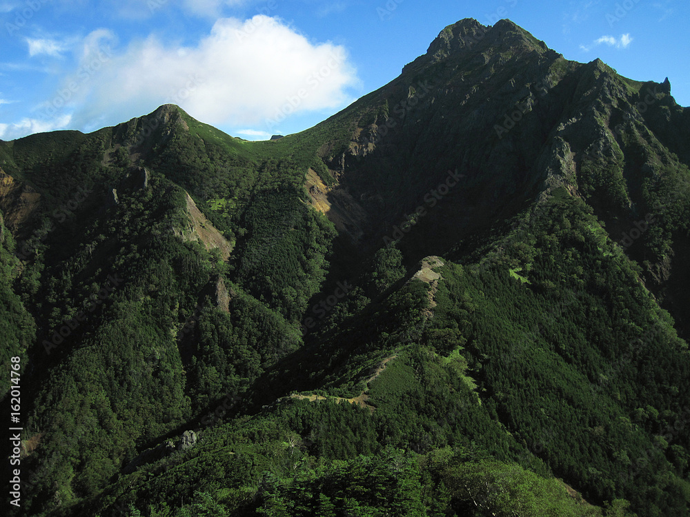 夏の八ヶ岳 夏の八ヶ岳