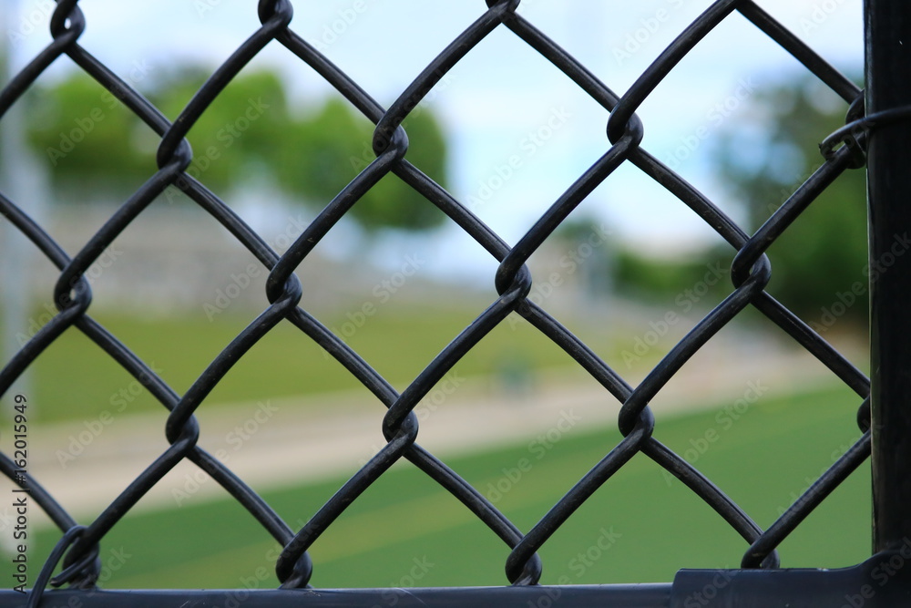 Chain Link Fence