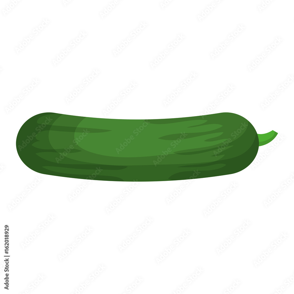 cucumber fresh vegetable icon vector illustration design graphic cucumber fresh vegetable icon vector illustration design graphic