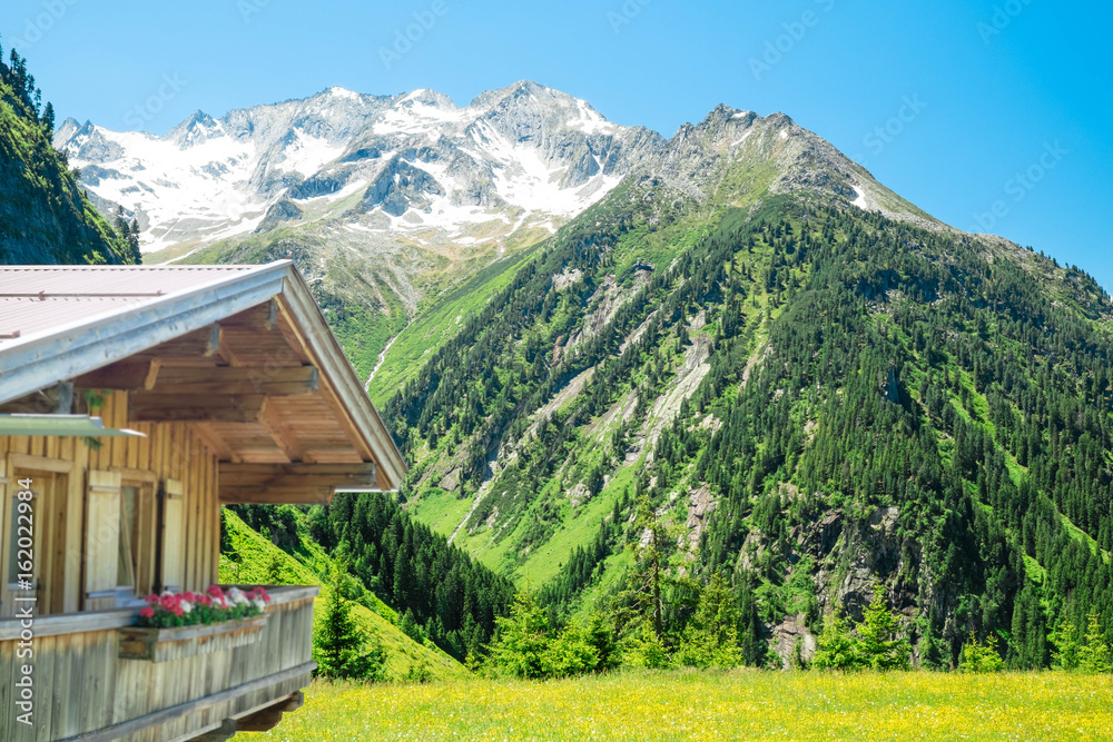 Fototapeta premium Tiroler Alpen