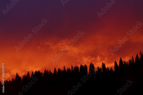 sunset clouds and forest silhouette