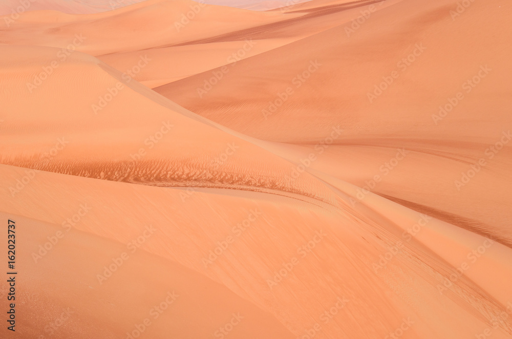 Desert Art Desert Art