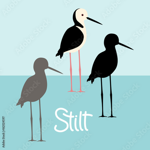 stilt  bird  vector illustration style Flat black silhouette