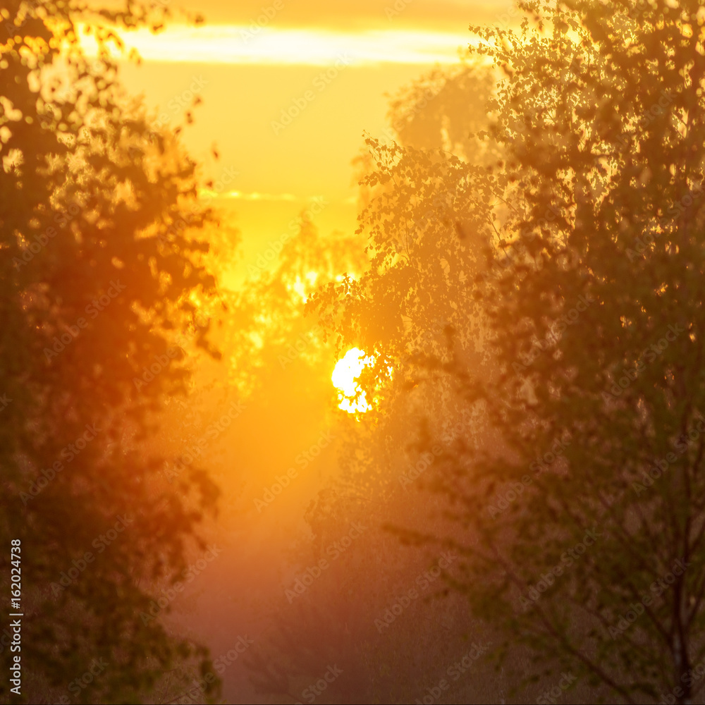 sun in the morning sun in the morning