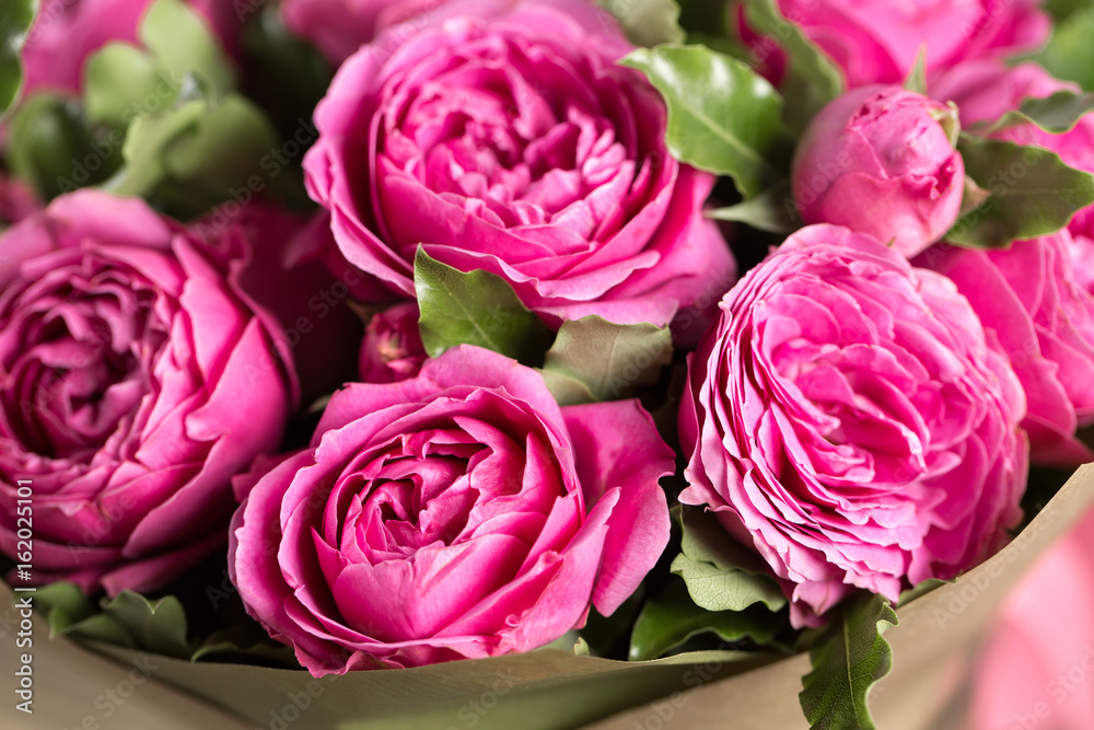 Pink peony roses in vase. retro styled photo.