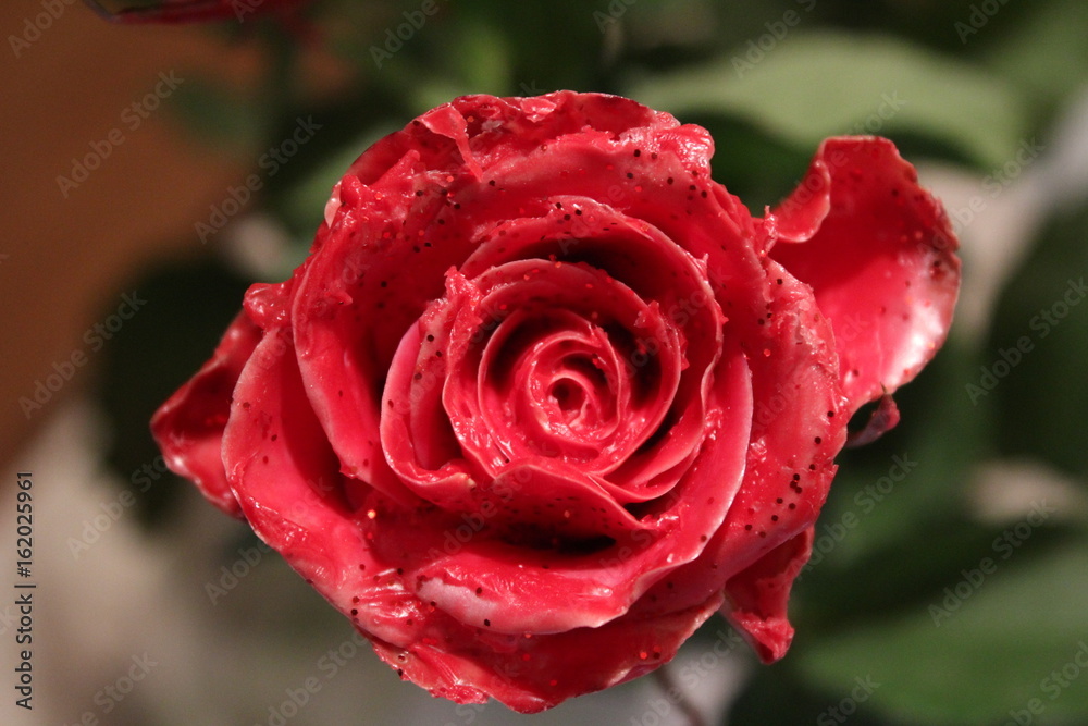 Rose in candle wax Rose in candle wax