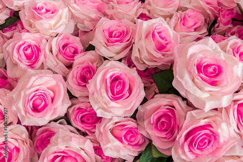 Rose - Flower, Bouquet, Flower, Orchid, Wallpaper © weera