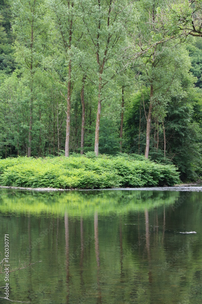 Natürliche Insel im Fluß Wupper mit zauberhafter Natur und Spiegelung Natürliche Insel im Fluß Wupper mit zauberhafter Natur und Spiegelung