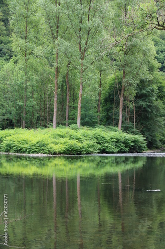 Natürliche Insel im Fluß Wupper mit zauberhafter Natur und Spiegelung