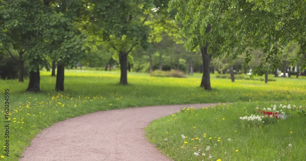 empty park path in summer day