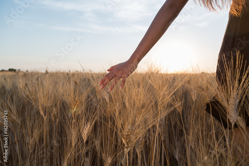 Ragazza sta accarezzando delle spighe di grano in un campo al tramonto