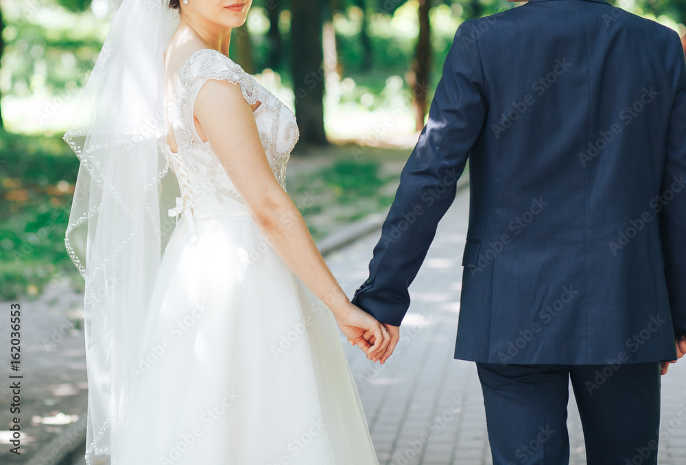 The bride and groom walk through the Park hand in hand. Happy bride and groom holding hands The bride and groom walk through the Park hand in hand. Happy bride and groom holding hands