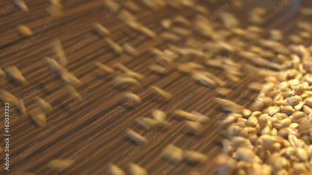 Wheat grains on a brown wooden background. 2 Shots. Slow motion. Vertical pan. Close-up.
