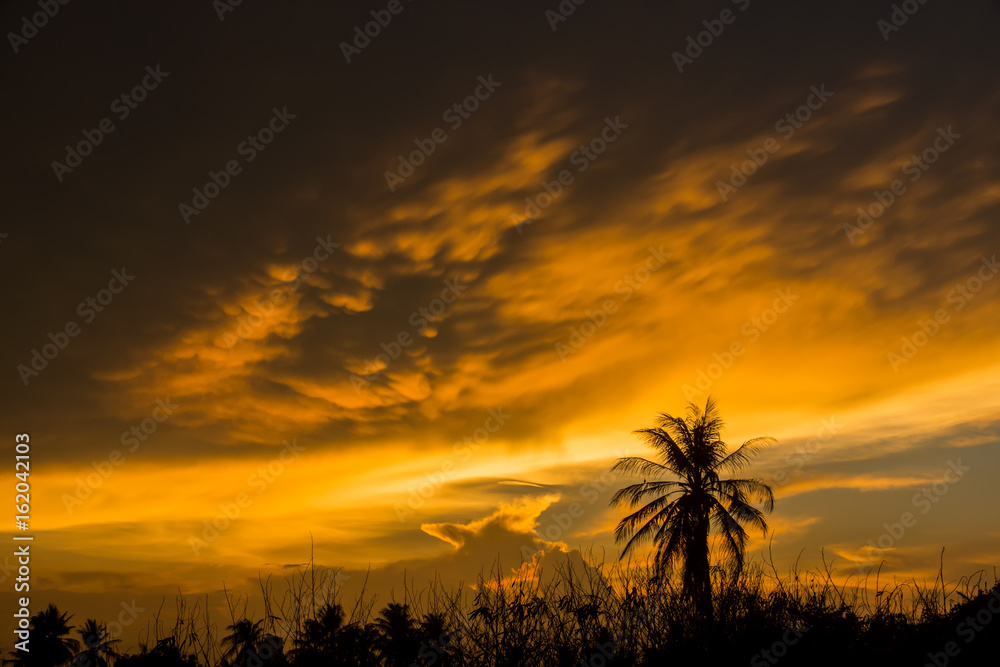 Black silhouette of a tree with an orange cloud. Black silhouette of a tree with an orange cloud.