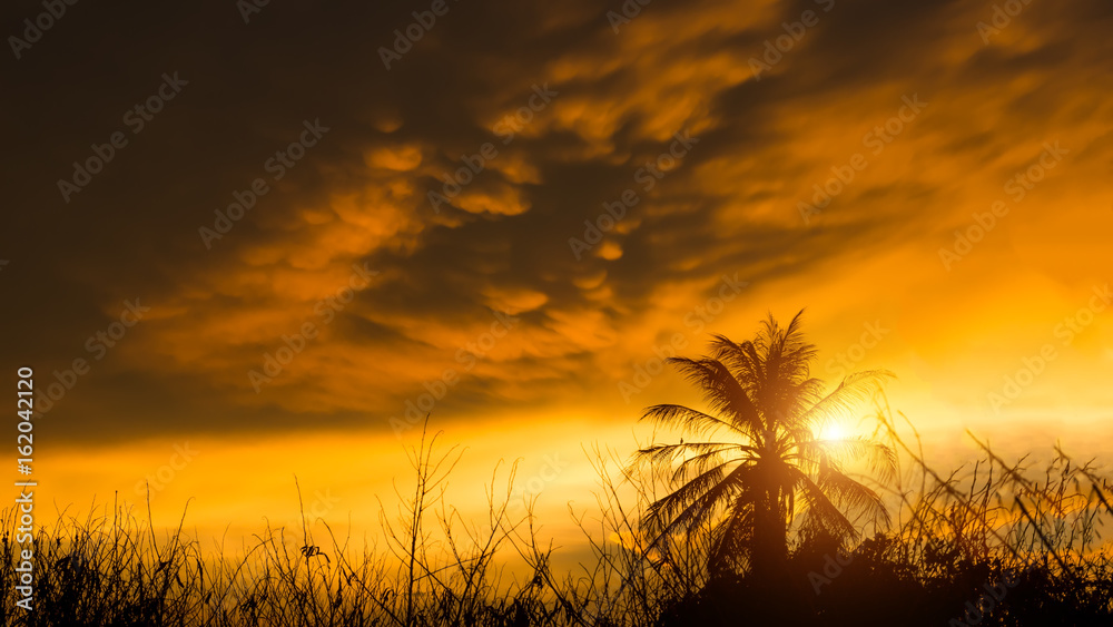 Black silhouette of a tree with an orange cloud.