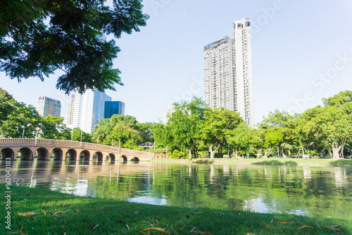 Fototapeta Naklejka Na Ścianę i Meble -  Beautiful public park for relaxing and doing activities.