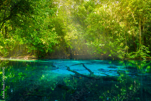 Amazing nature, Blue pond in the forest. Krabi, Thailand. photo