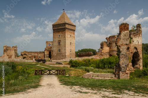 Photos Ruins of the medieval fortress in Bac. Serbia