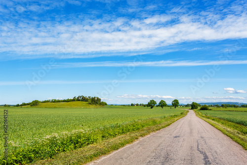 Country road at a grain field