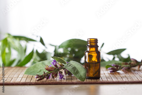 Salvia essential oil and fresh salvia leaves and blossom