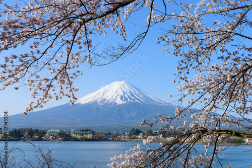 山梨　富士山と河口湖畔の桜 © Scirocco340