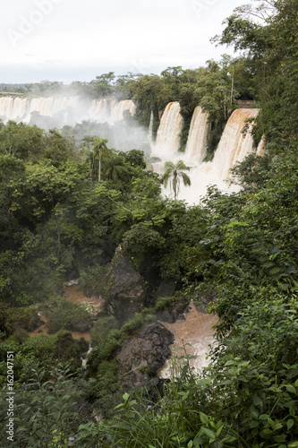 trees and waterfalls at upper part of iguazu falls veiw from argentina