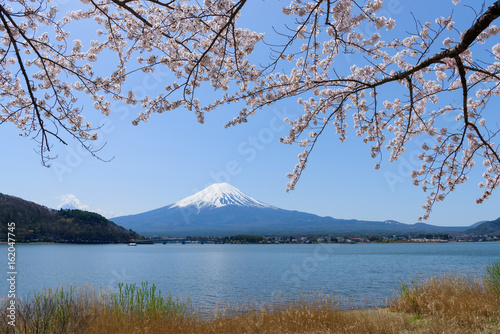 山梨　富士山と河口湖畔の桜 © Scirocco340