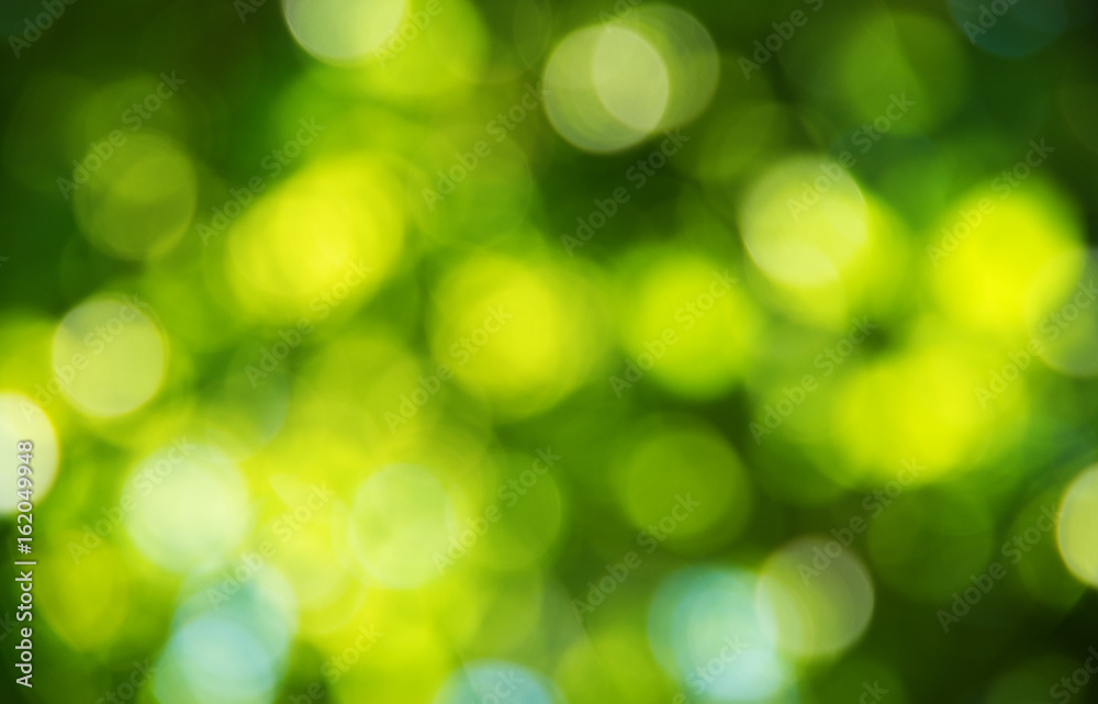 Natural blurred background. Natural blurred background.