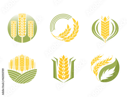 Cereal ears and grains agriculture industry or logo badge design vector food ...