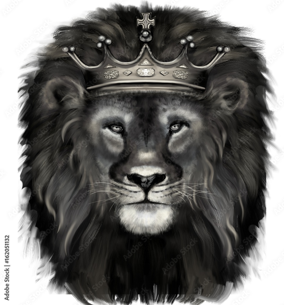 lion animal big cat king print lion animal big cat king print