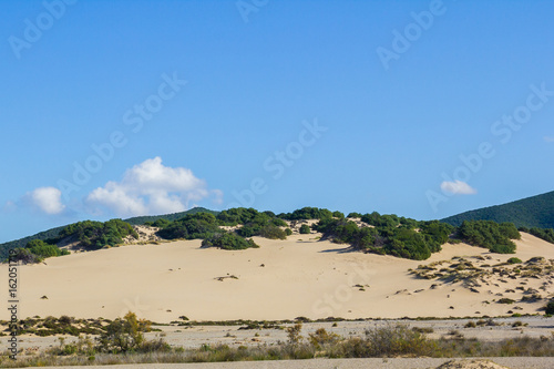 Dune di Piscinas  Sardegna  Arbus