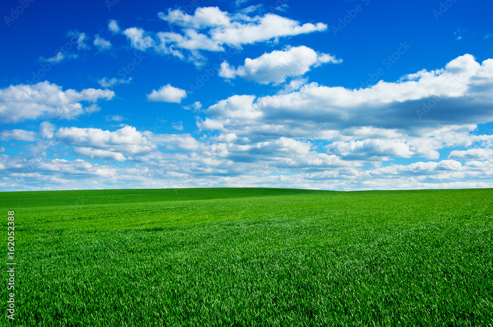 Image of green grass field and bright blue sky