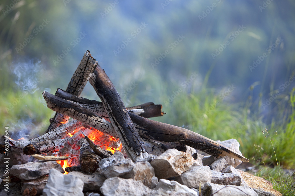 Fototapeta premium Campfire in the wood at a camping site