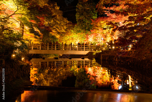 愛知　瀬戸　岩屋堂公園の紅葉ライトアップ