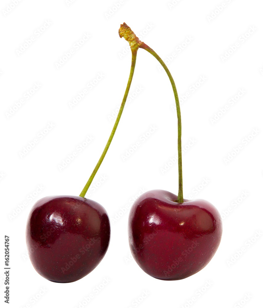 Sweet Cherry Isolated Sweet Cherry Isolated