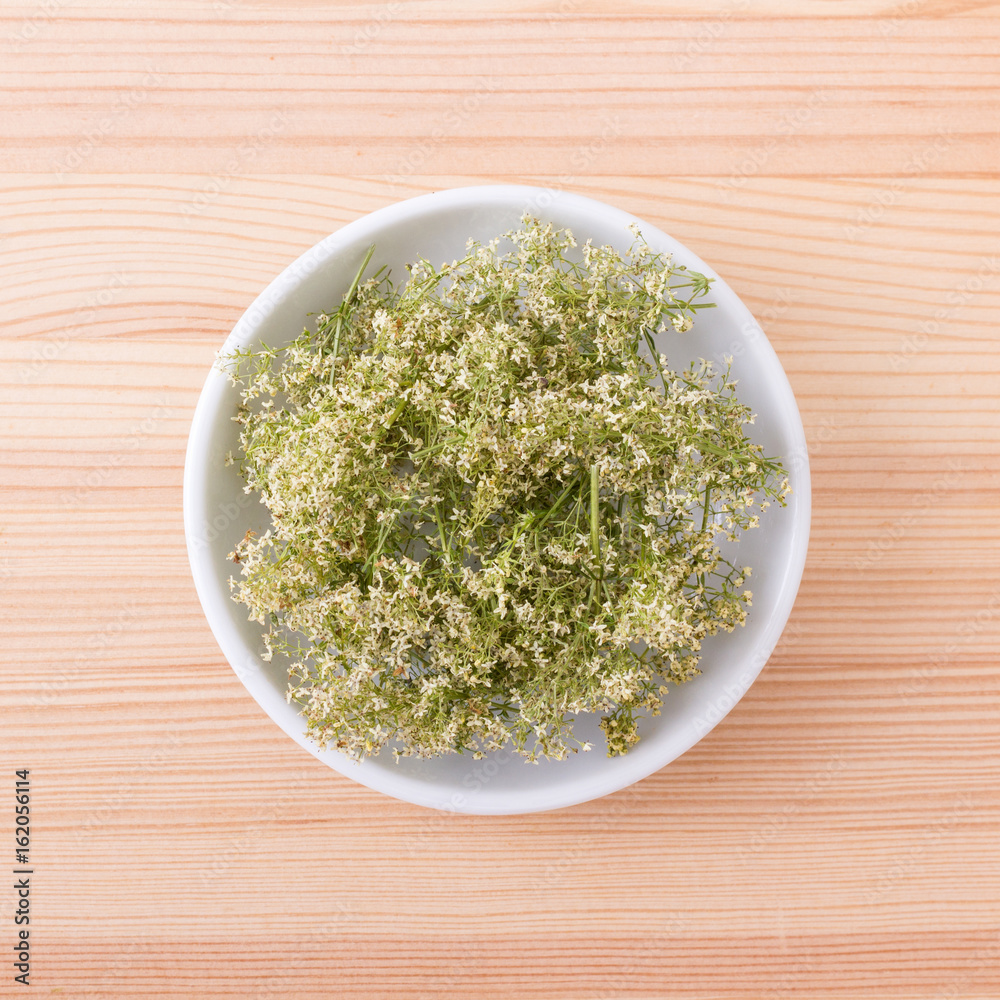 Hedge bedstraw / Porcelain bowl with Hedge bedstraw Hedge bedstraw / Porcelain bowl with Hedge bedstraw