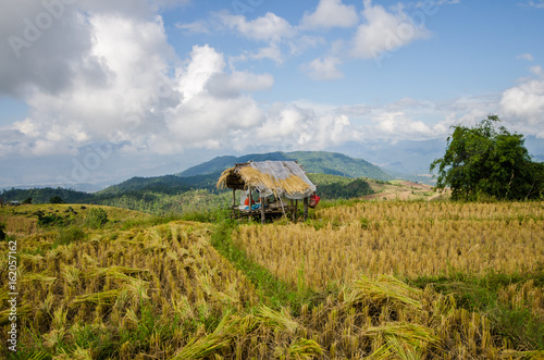 Pa Pong Piang Rice terraces, Mae Cham, Chiang Mai, Thailand.