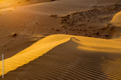 Yellow sandy wavy dunes texture