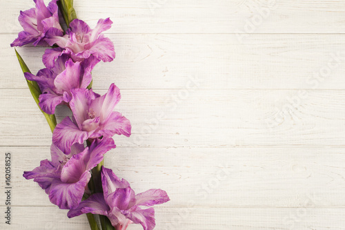 Fotografia Purple gladiolus on white table