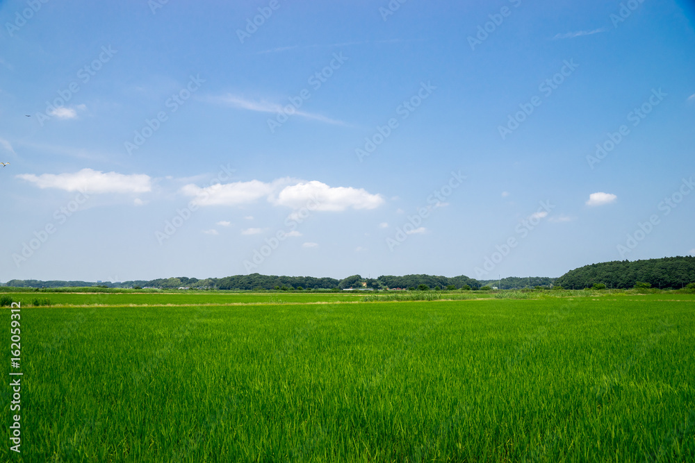 田園風景