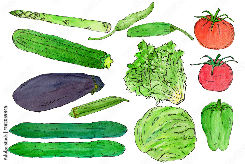 夏野菜 キャベツ トマト きゅうり ナス おくら など イラスト Stock Illustration Adobe Stock 夏野菜 キャベツ トマト きゅうり ナス おくら など イラスト Stock Illustration Adobe Stock