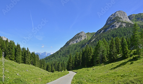 The mid-June rural landscape showing the Carnic Alps around Cason Di Lanza near Paularo, Friuli Venezia Giulia, north east Italy
 photo