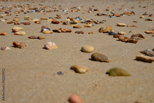 Stones and Shells on Bournemouth Beach