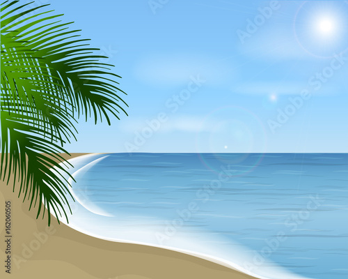 Summer sea landscape with palm branch. Vector landscape