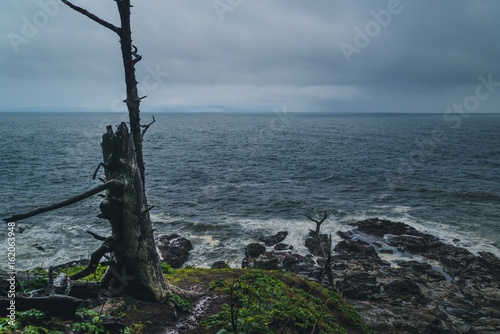 Overcast day at the coast.