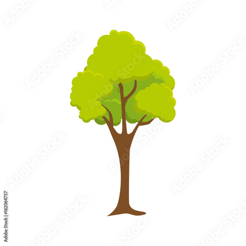 tree icon over white background vector illustration