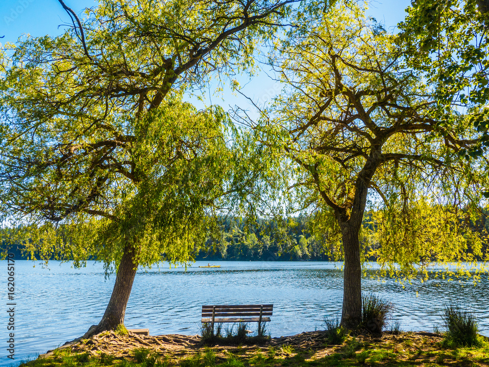 Bench overlooking a lake between two large trees, canoe passing by